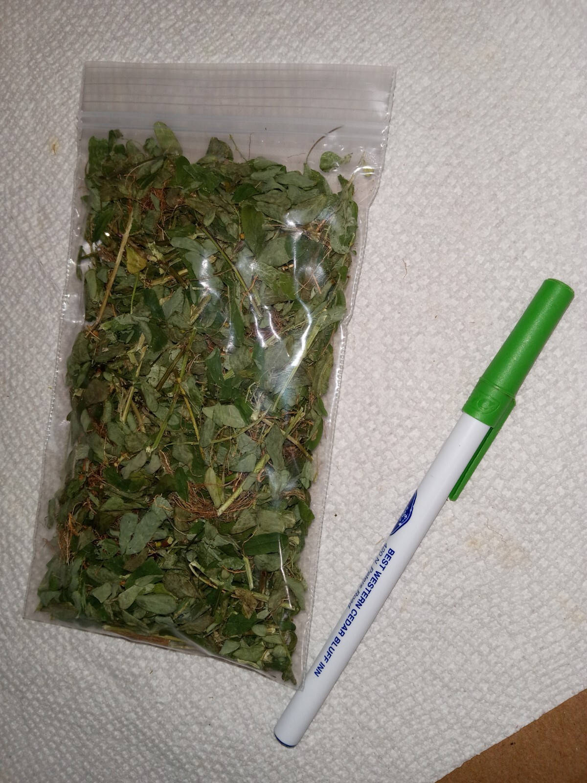 1 Cup Air Dried Stone breaker/Chamber Bitter/Chanca Piedra Herbal Tea.US grown.