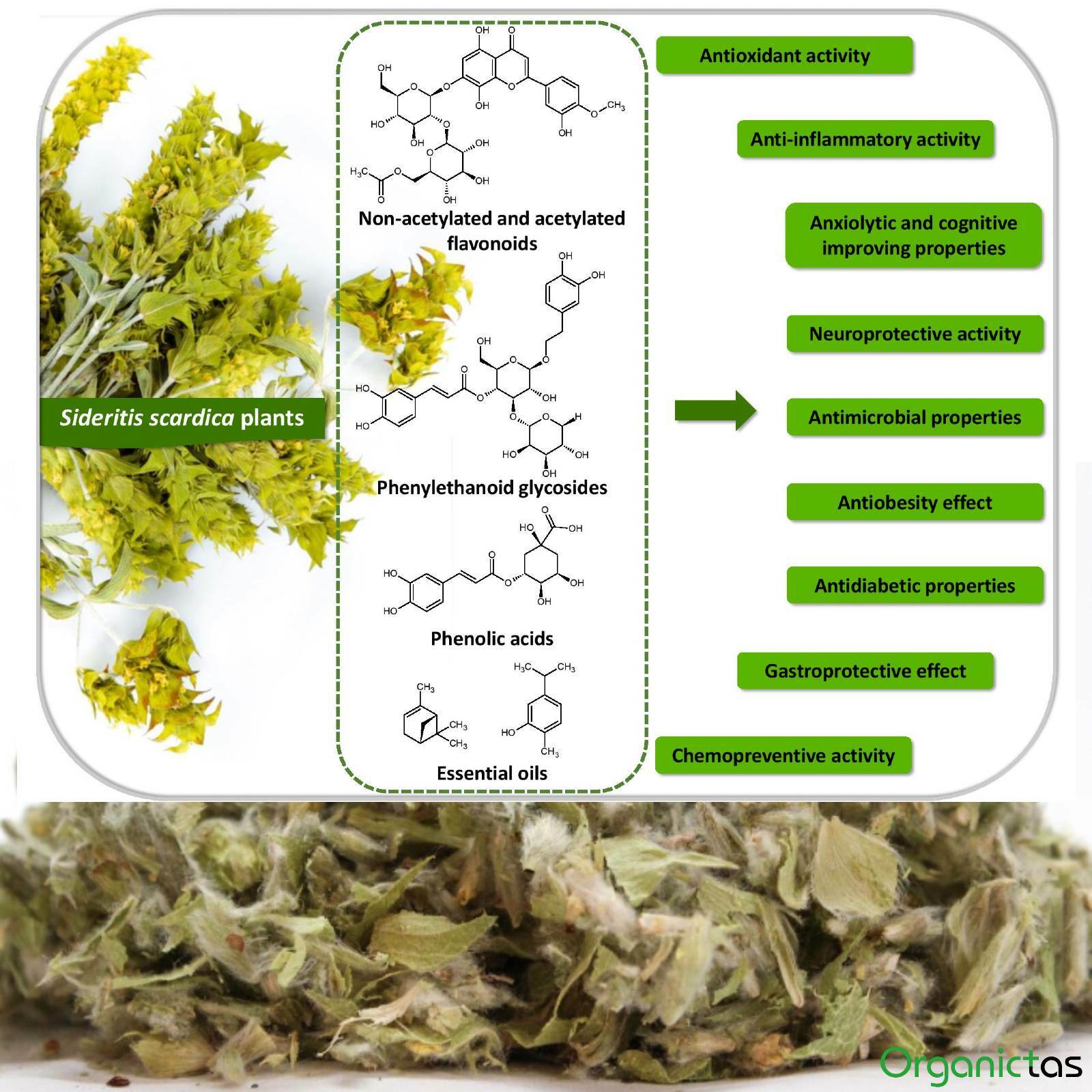 Organic Greek Mountain Tea Cut Sideritis Scardica Premium Quality Loose 2022 yr.