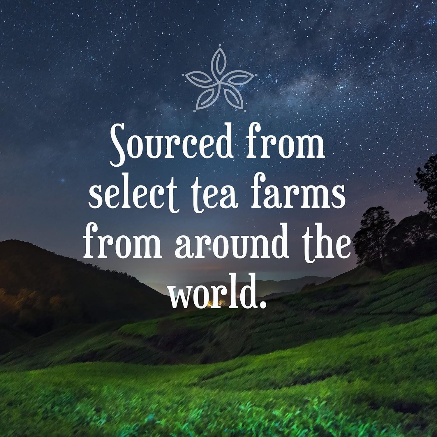 Assorted Variety Pack Sampler Tea Pods Compatible with K Cup Brewers Includin…