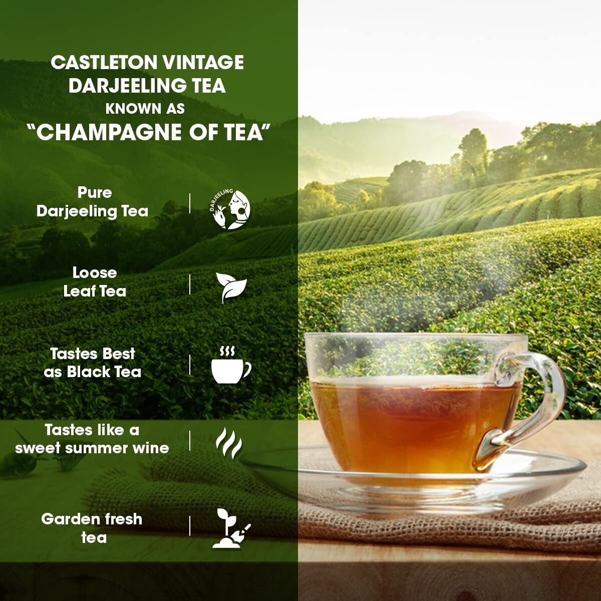 Goodricke Castleton Vintage Darjeeling Tea – 250gm | Single Estate Premium