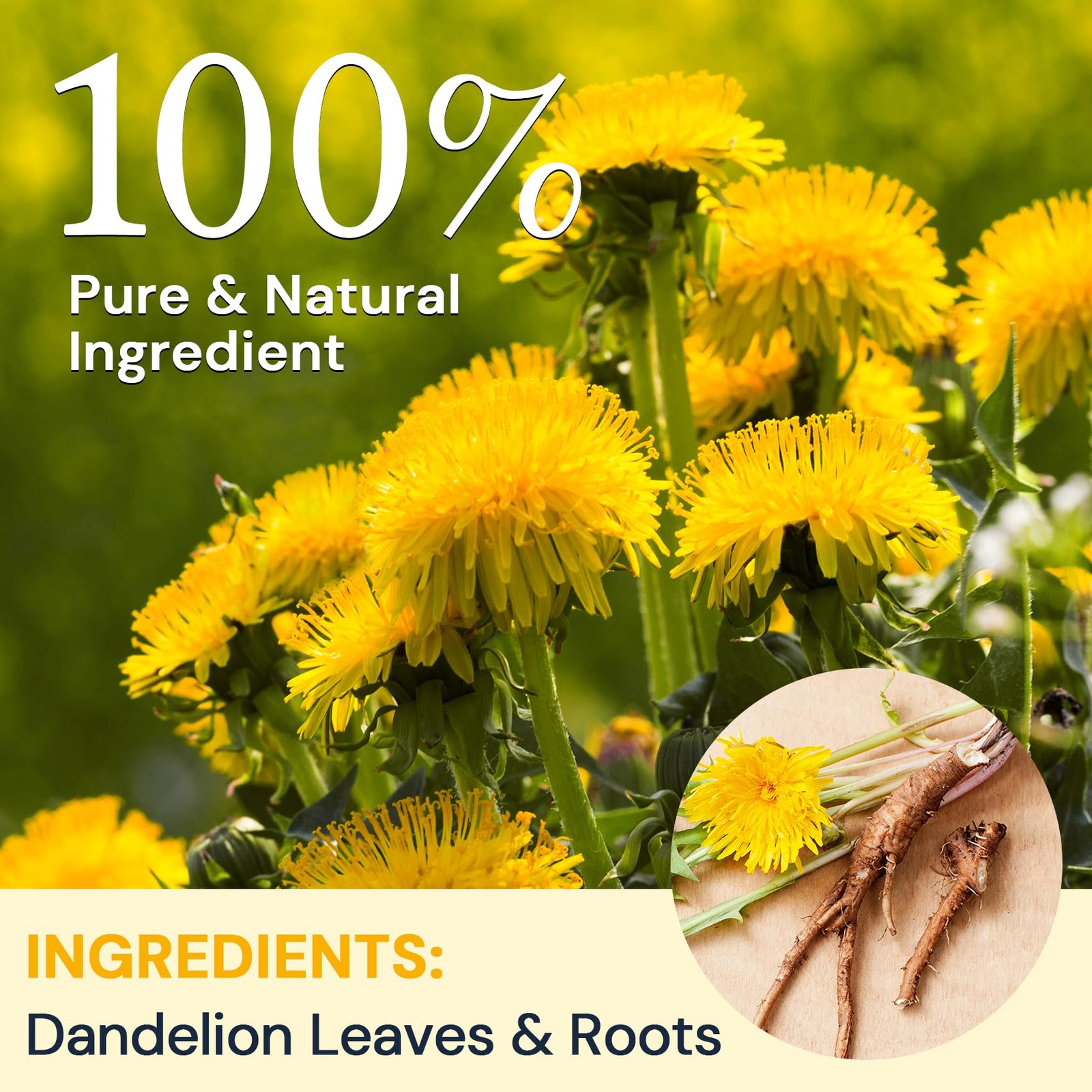 Caffeine-Free Dandelion Herbal Tea – 100 Sugar-Free Teabags for Wellness