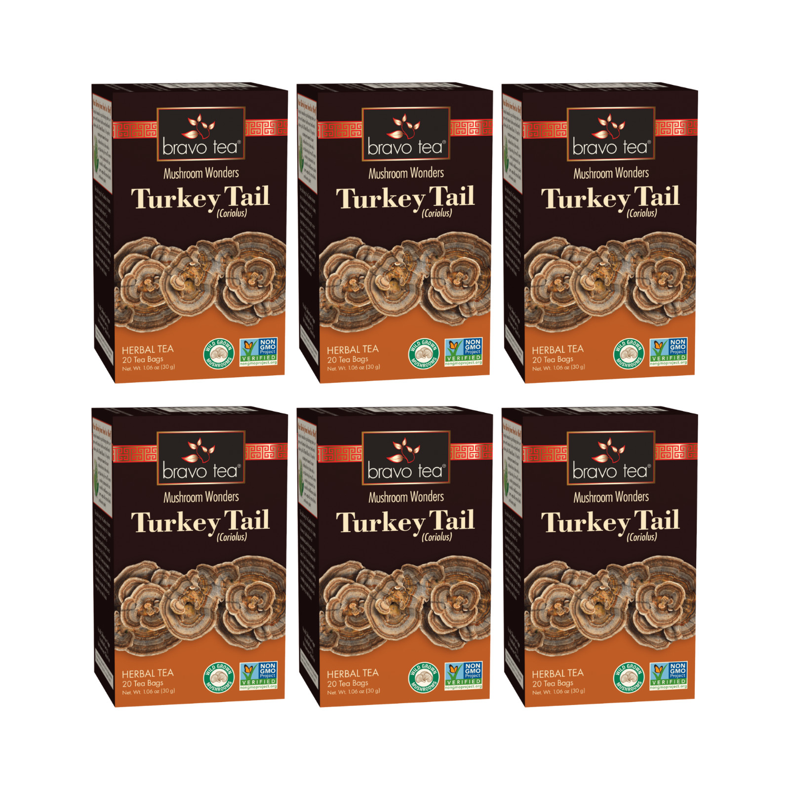 Turkey Tail Mushroom Tea by Bravo Tea (6 Boxes of 20 Teabags Each)
