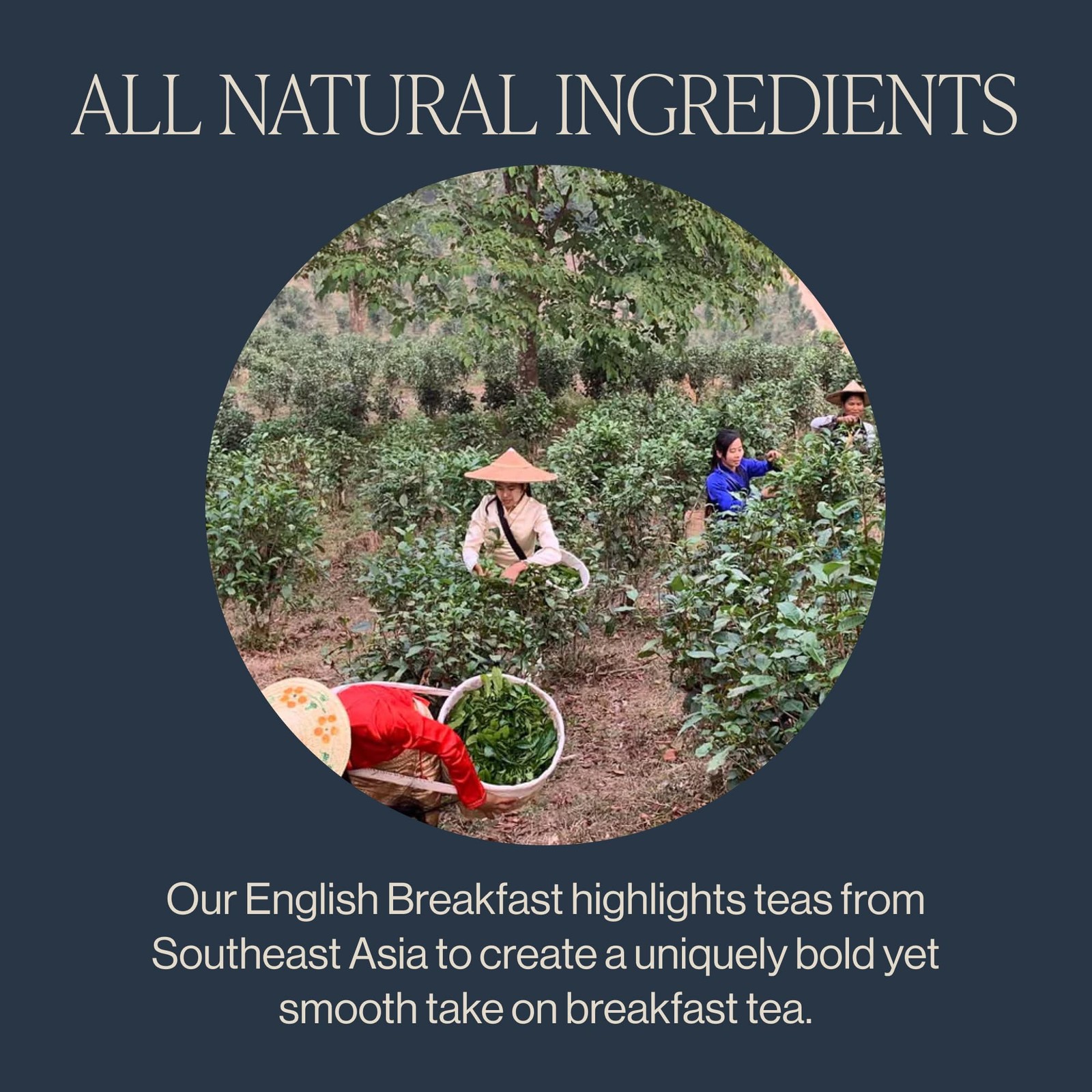 Rishi Tea English Breakfast Tea Organic Loose Leaf Pure Black Tea, Energizin…
