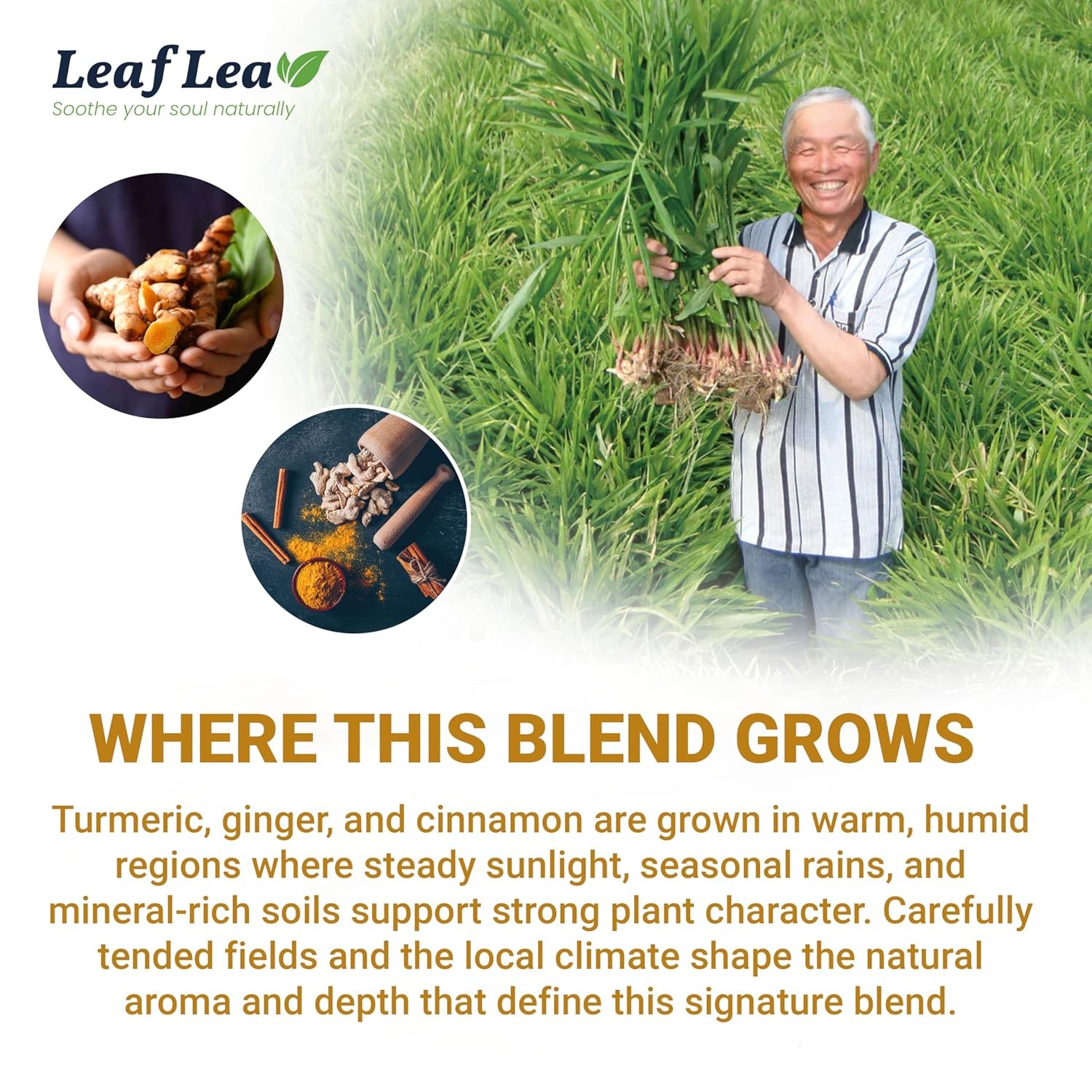LeafLea 40 Turmeric Ginger Cinnamon Tea Bags, 100% Natural Ingredients Herbal Te