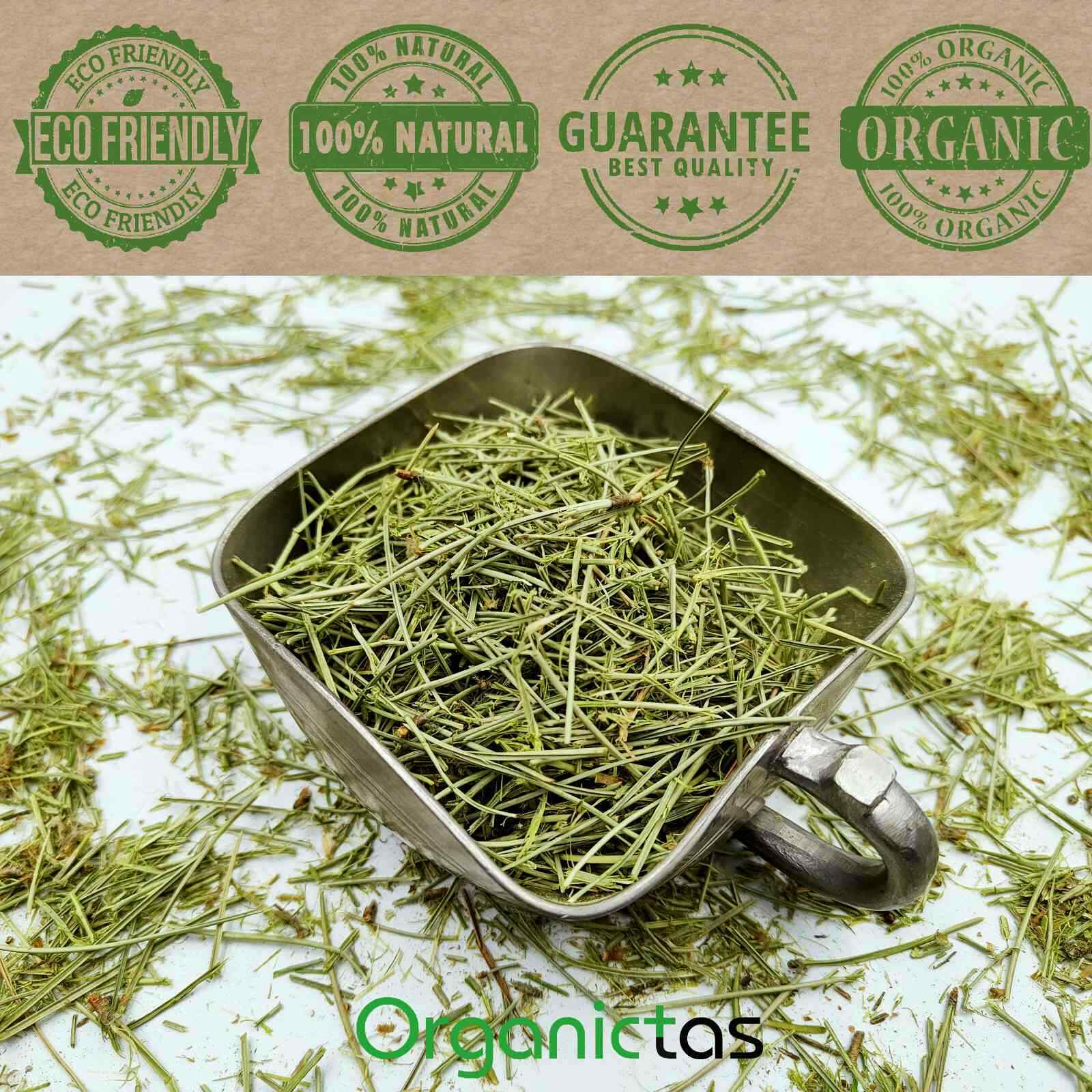 Pine Needle Tea 100g Natural Wild Picked Scots Scotch Pine Premium Quality