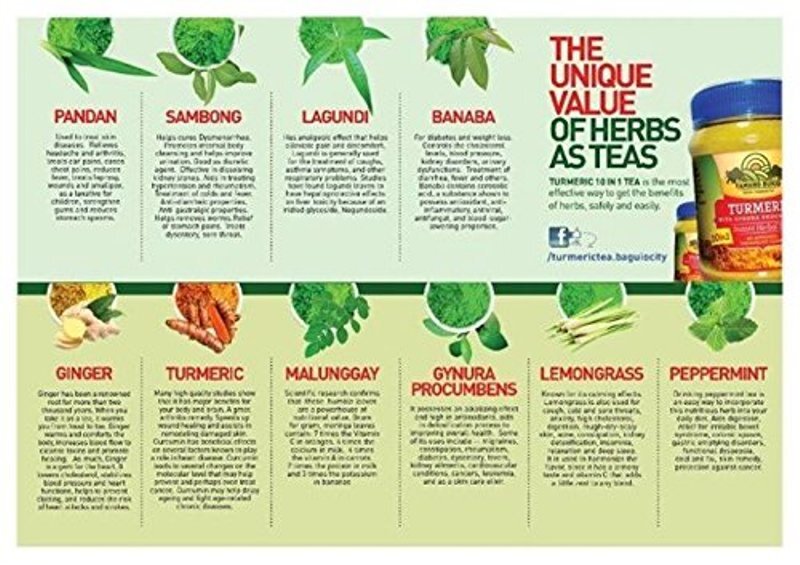 YAMANG BUKID TURMERIC 10 IN 1 INSTANT HERBAL TEA 400 GRAMS Exp. Date 10/19/2024