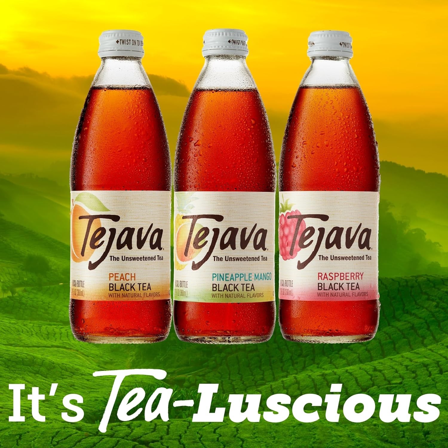 Black Tea Sampler 12 Ounce Bottles Unsweetened Peach Raspberry Pineapple Mango