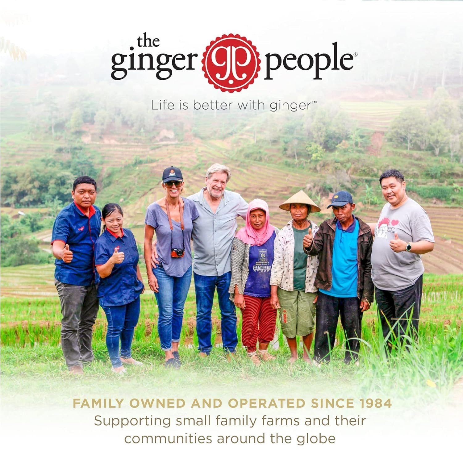 The Ginger People Organic Pickled Sushi Ginger Vegan 6.7 Ounces Pack of 12