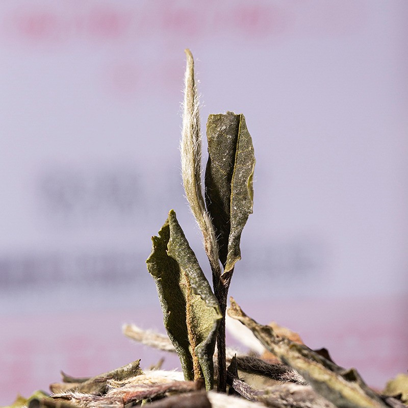 100g Authentic Chinese Tradition Tea Fujian Old Tree White Tea White Peony Tea