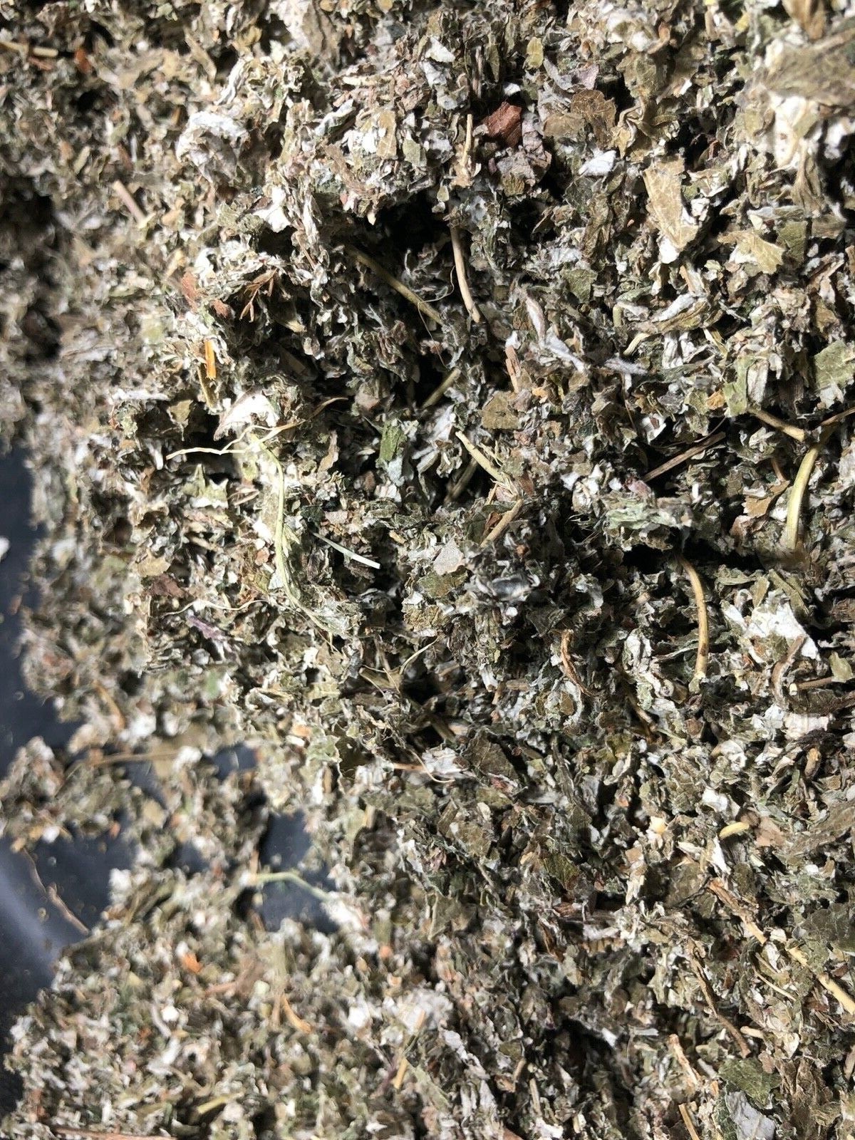 Quality Red RASPBERRY Bulk Leaf – Organic Natural Dried Herb -1/4 oz ounce