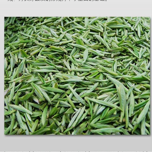 Haiwan 2017 Batch 171 Old Comrade 7548 Pu-erh Tea Cake Sheng Puer Raw Pu’er 357g