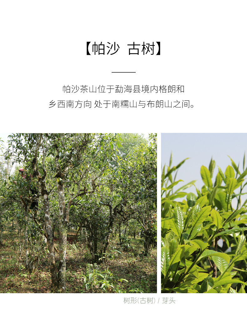 2021 Haiwan Pa Sha Ancient Tree Raw Puer Tea Aged Tree Pu’er Shen Puerh Tea 500g
