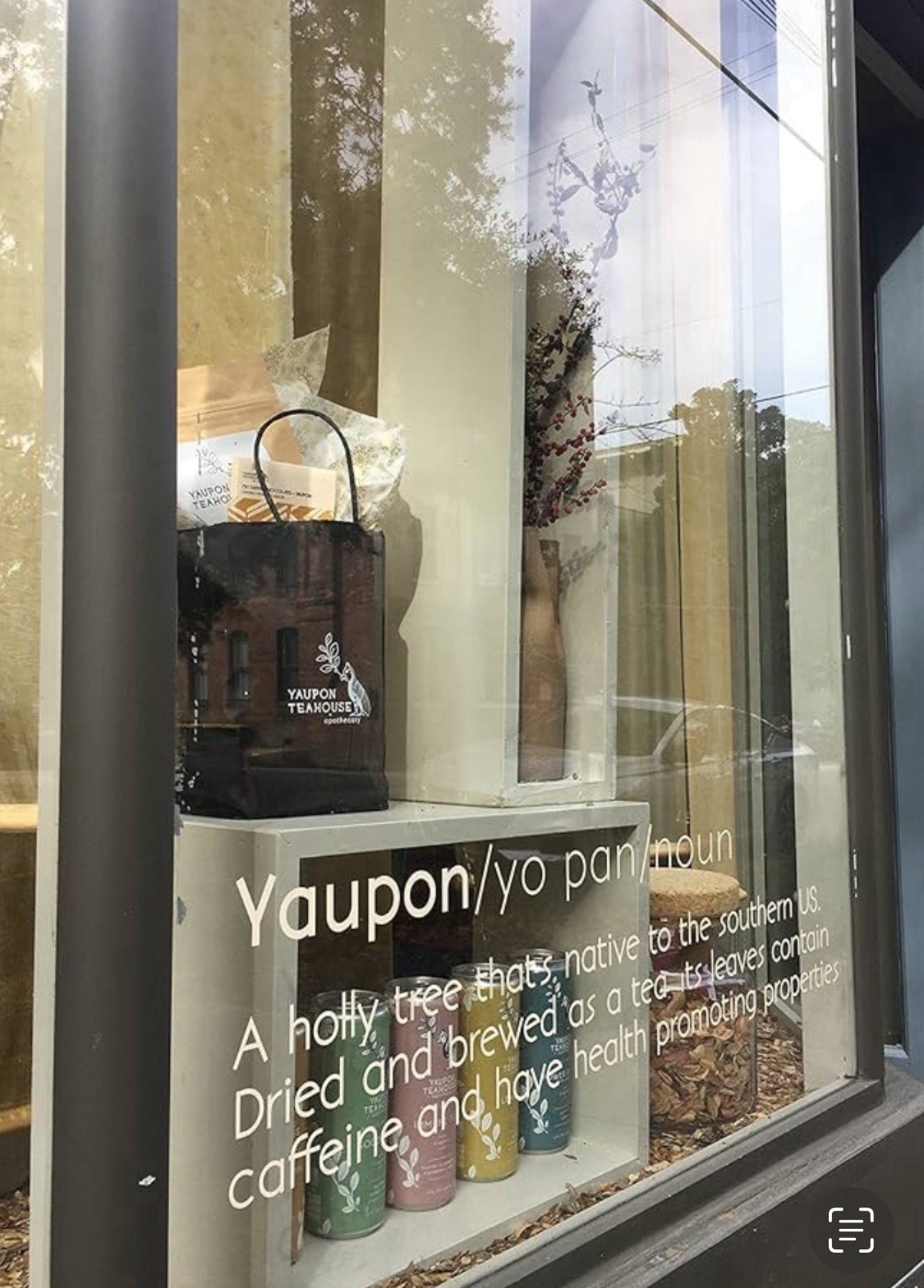 Organic Yaupon Holly Tea lb bulk