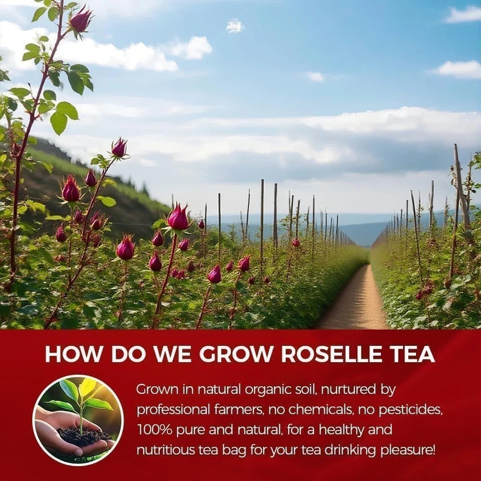 Premium 80 Hibiscus Flowers Tea Bags, 100% Natural, Handmade & Pure from Hibi