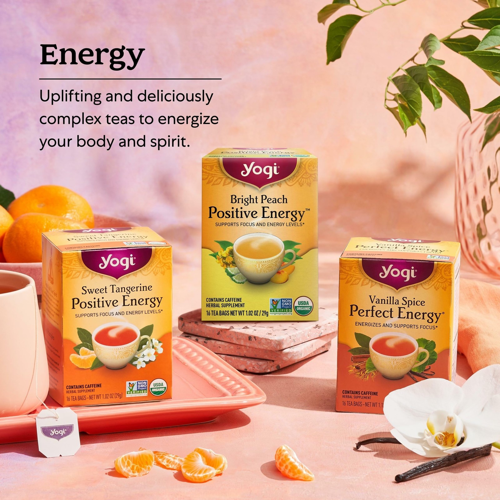Yogi Tea Spiced Blackberry Focus – 16 Bags per Pack (4 16 Count (Pack of 4)