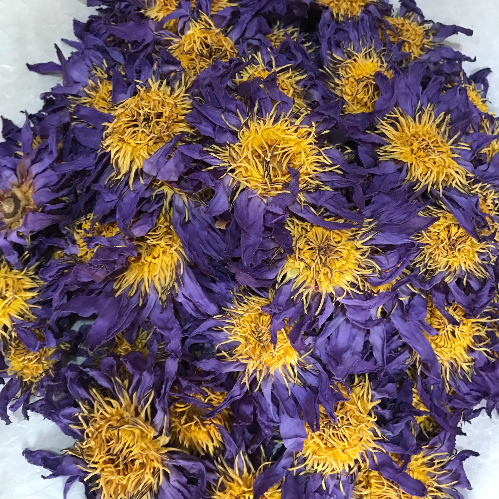 Dried Blue Lotus 2kg Nymphaea Caerulea Hand Pick Ceylon Flowers Organic Tea