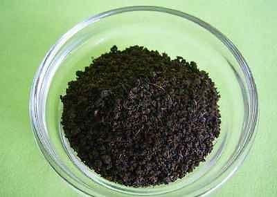 Safari Pure Kenya Tea 1.1 Pound Handpicked High Quality Full Bodied Flavor