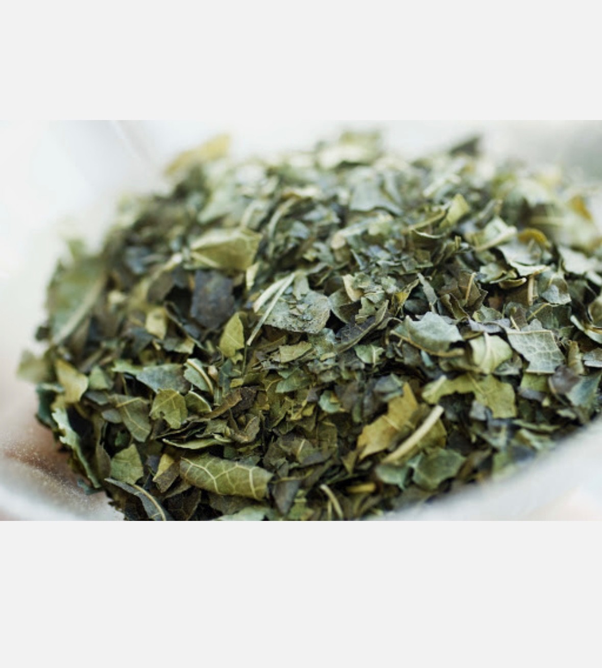 Dried Mulberry Leaf Tea – 20 Grams – 20 Servings