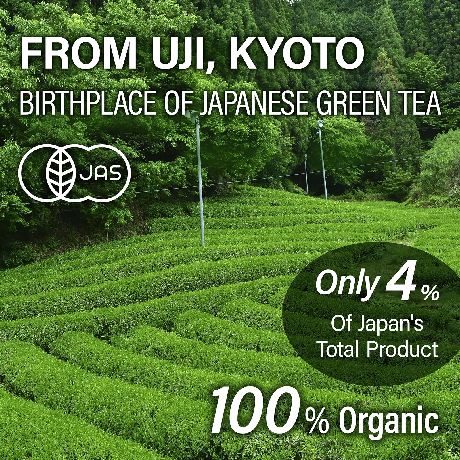 YAMASAN KYOTO UJI Sencha Green Tea Loose Leaf, 2.82 Ounce (Pack of 1), green