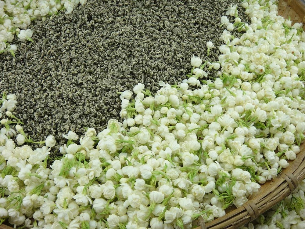 250g flavored aroma Jasmine Jade snail Green Tea Jasmine Grüner Tee Bi Luo Chun