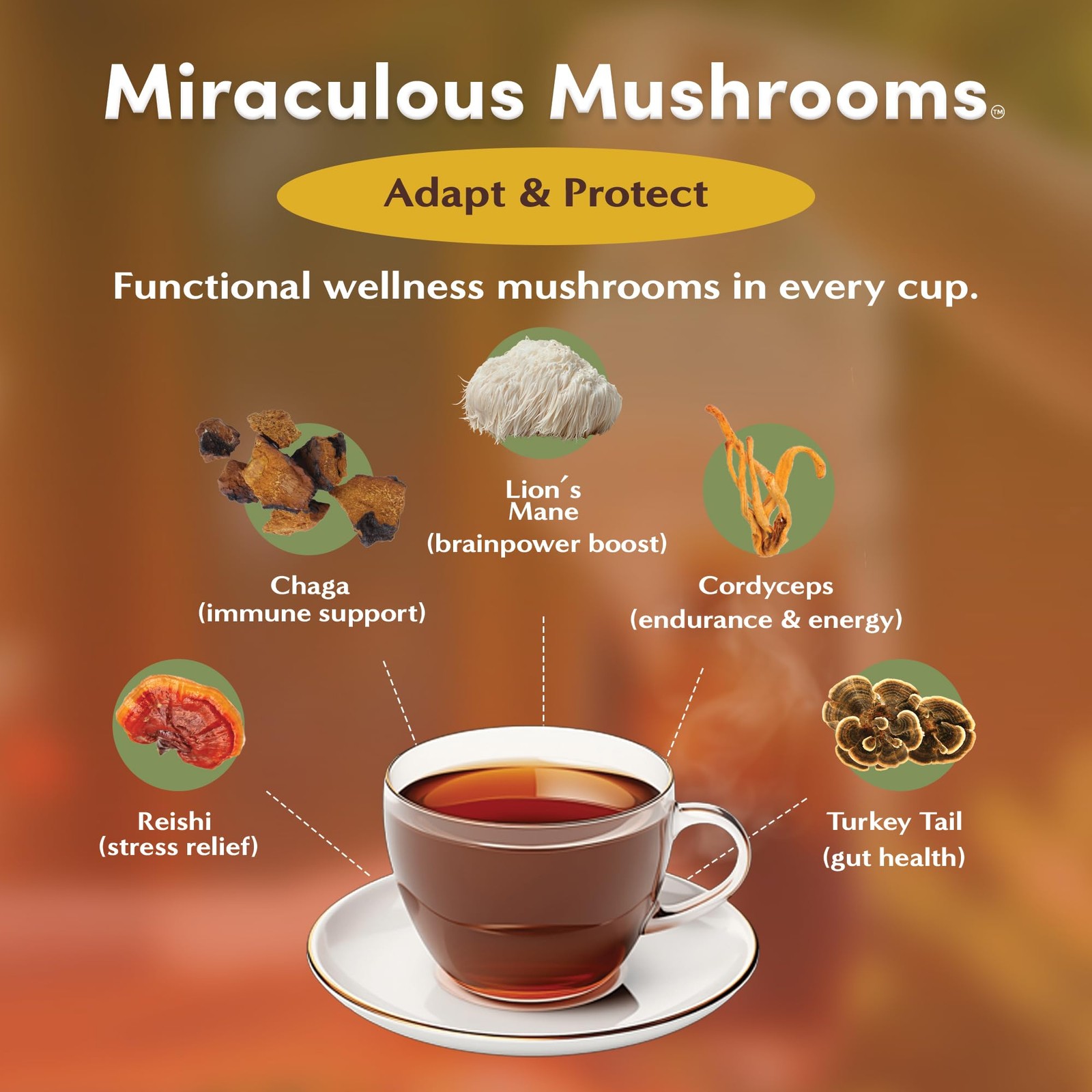 Miraculous Mushrooms Adapt & Protect Herbal Tea, 25 Tea Bags