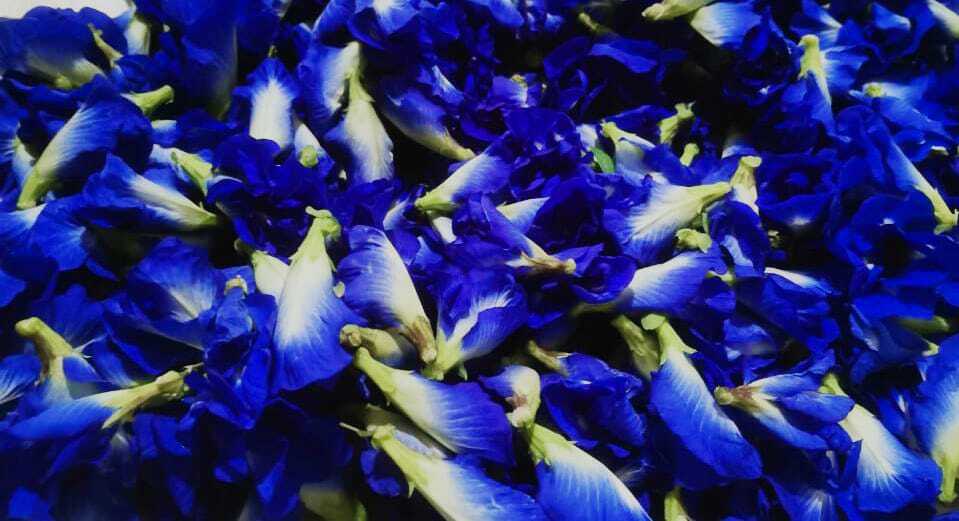 100% Natural wind dried organic blue butterfly pea flowers for teas & drinks 28g