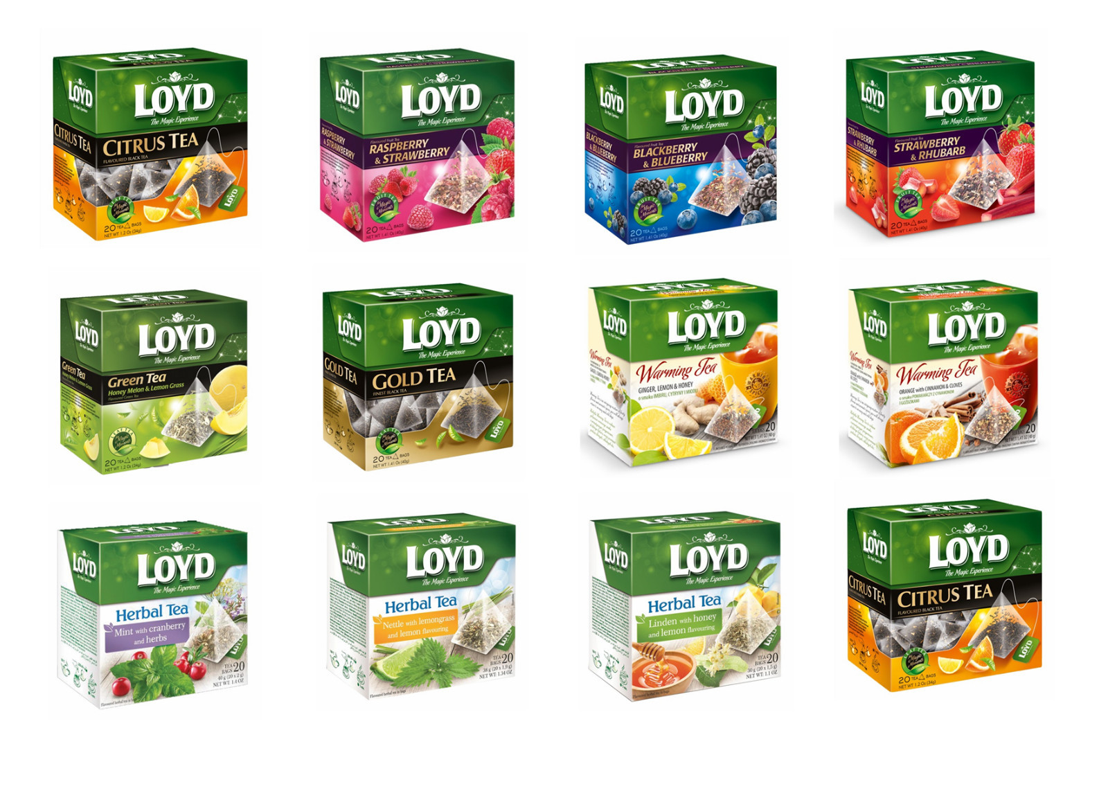 LOYD TEA Variety Popular European Fruit Infusions