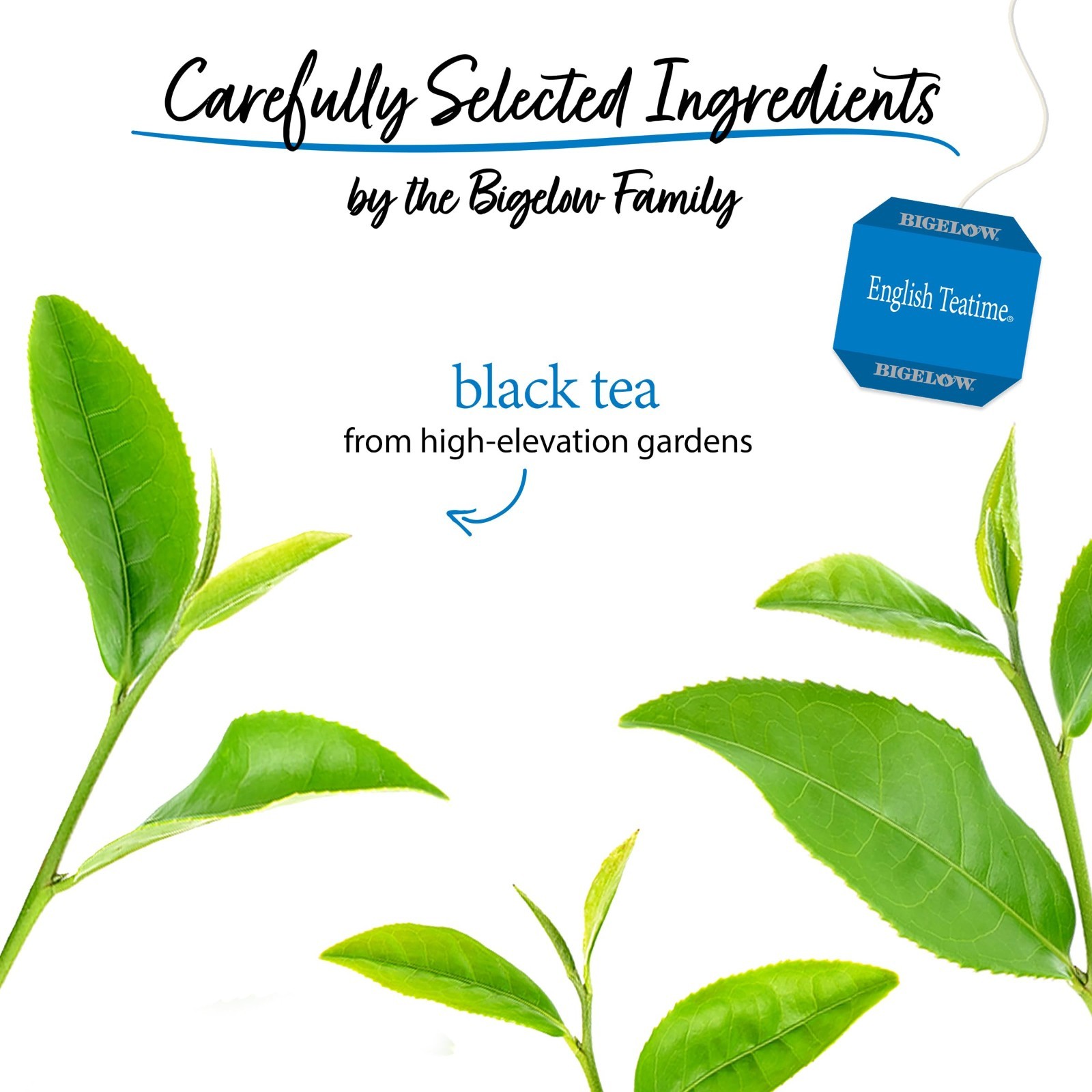 Bigelow English Teatime Black Tea – 20 Per Box – (1) Box Total