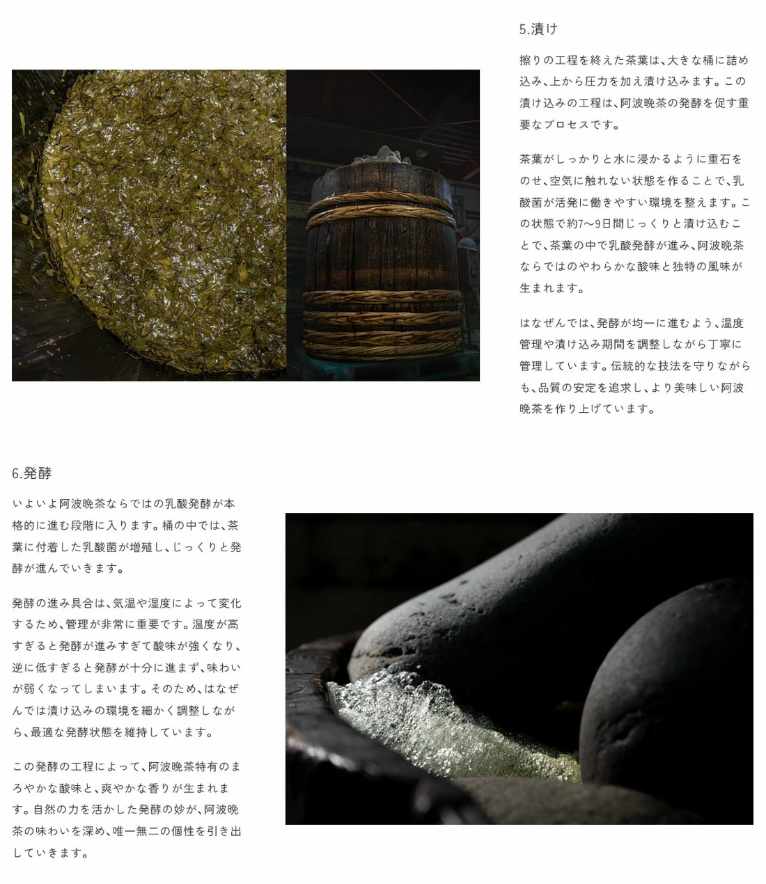 Awa Bancha Tea Bags 12 Pack Japanese Post-Fermented Tea, Lactic Acid Fermented