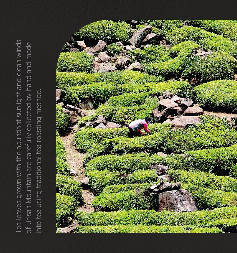 Ssanggye Korean Green Tea Jukro 2025 First Flush Jirisan Hand-Picked 60g