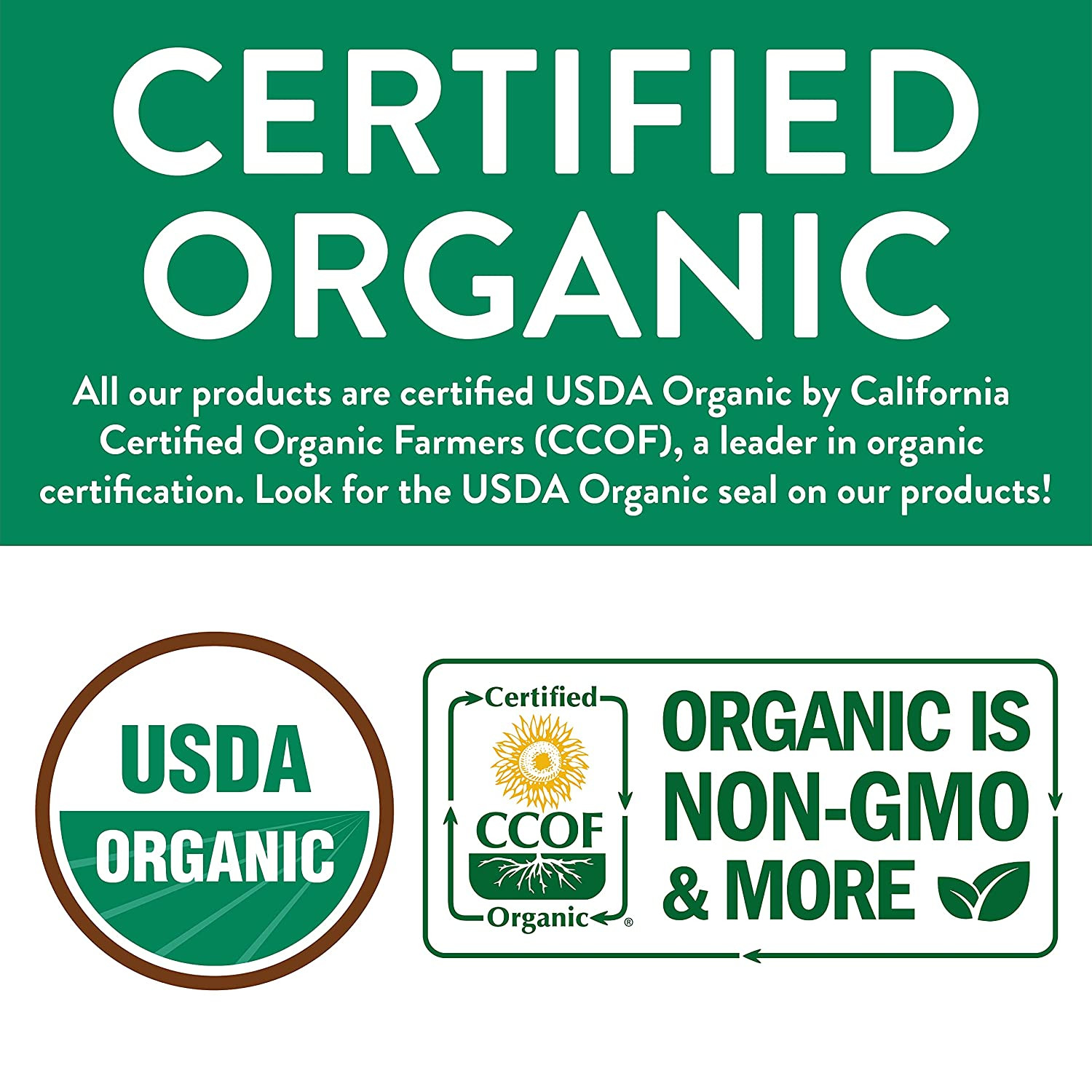 Organic Green Tea – Eco-Conscious Tea Bags – 100 Count – Packaging May Vary (Pac