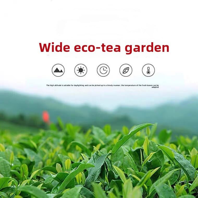Oolong Tea 8.81oz /250g（30Bags）Phoenix Dancong （Honey Orchid Aroma）Chao Zhou …