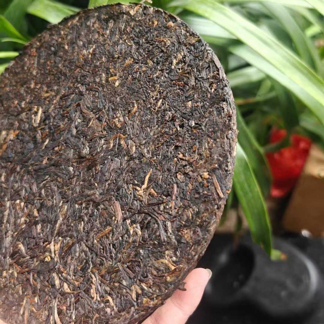 Rare Vintage 1970s Hanoi Brand Red Label Iron Cake Old Raw Pu-erh Tea 400g
