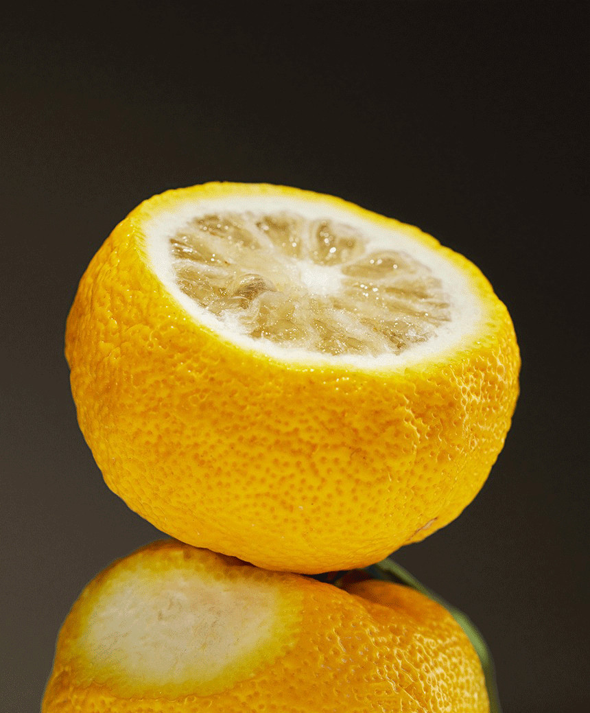 OSULLOC Yuja Earl Grey – Korean Citrus Black Tea with Yuzu & Bergamot (20 Bags)