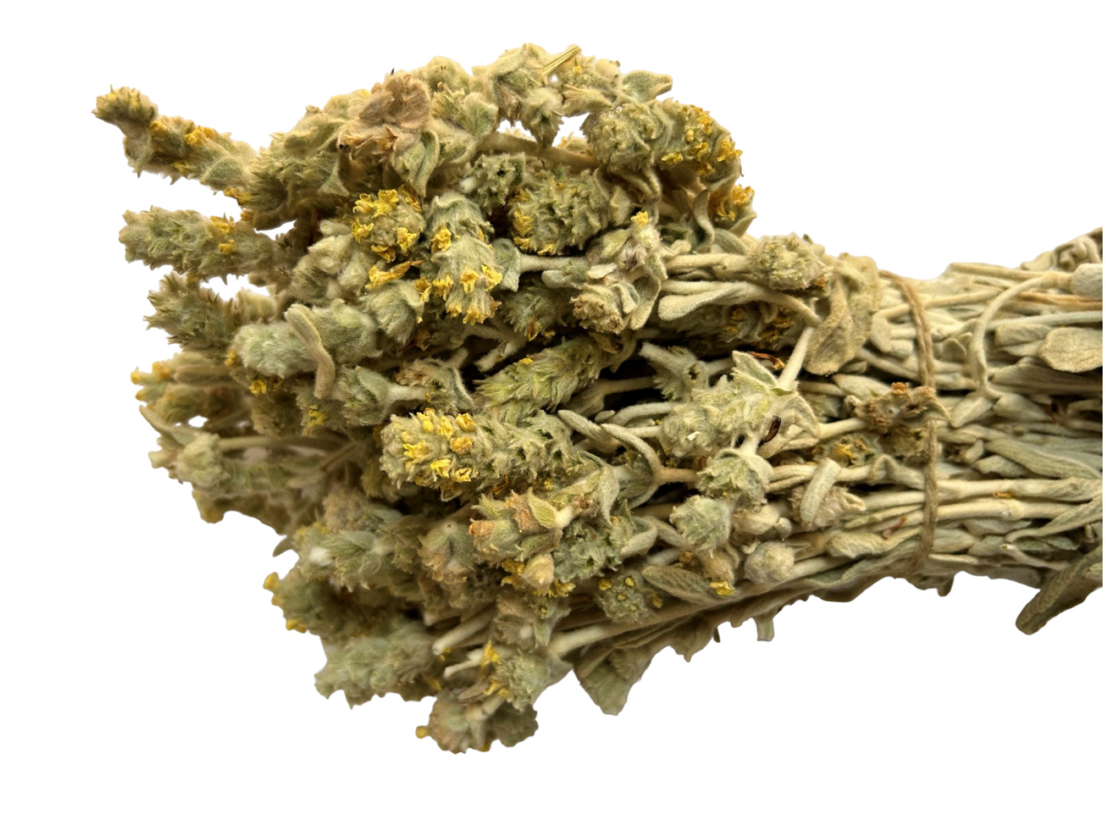 Greek Mountain Tea Malotira Sideritis Syriaca 220g – 1.95Kg Harvest June 2024