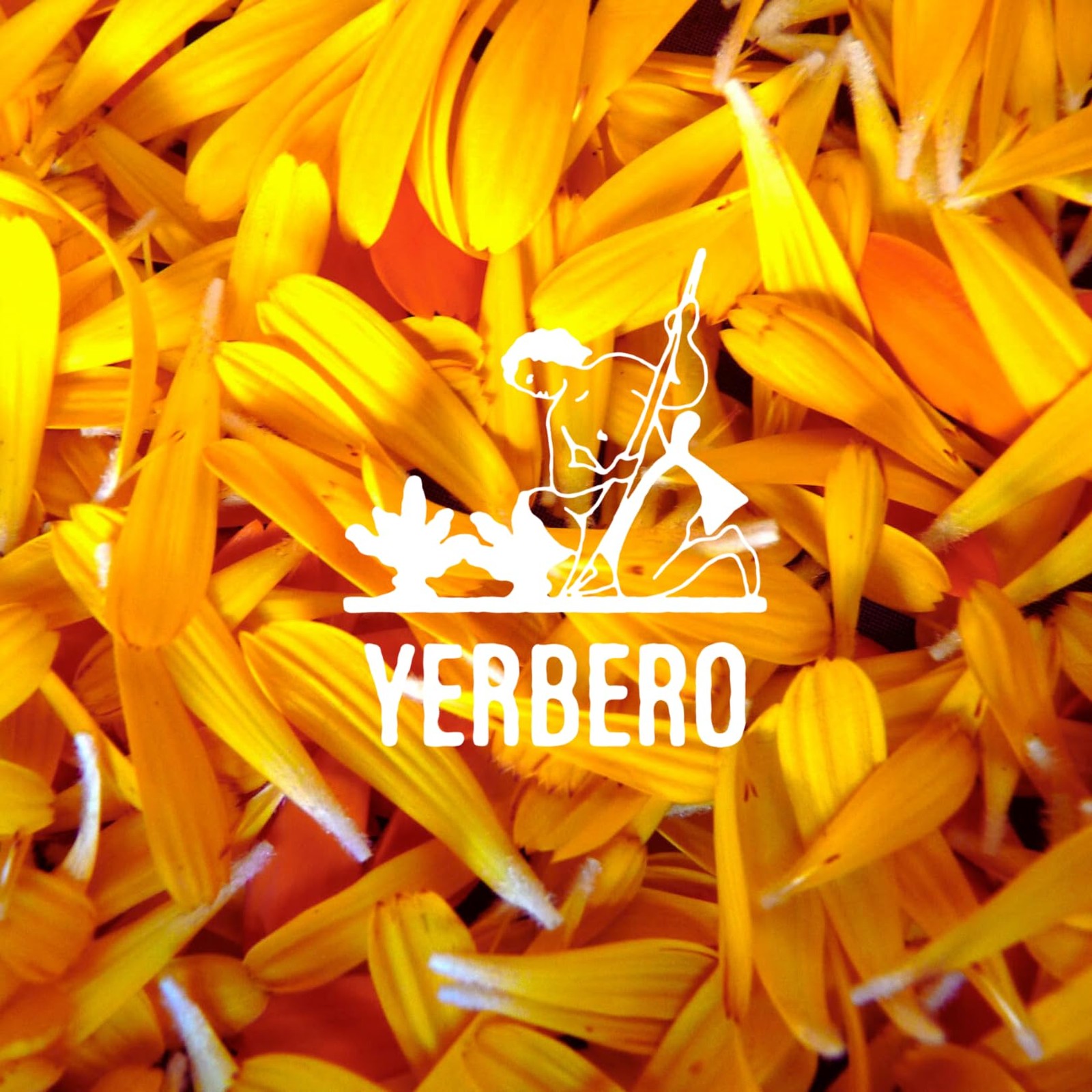 Yerbero Calendula Flowers Loose Herbal Tea 2oz (56g) | Marigold Flowers | Flo…