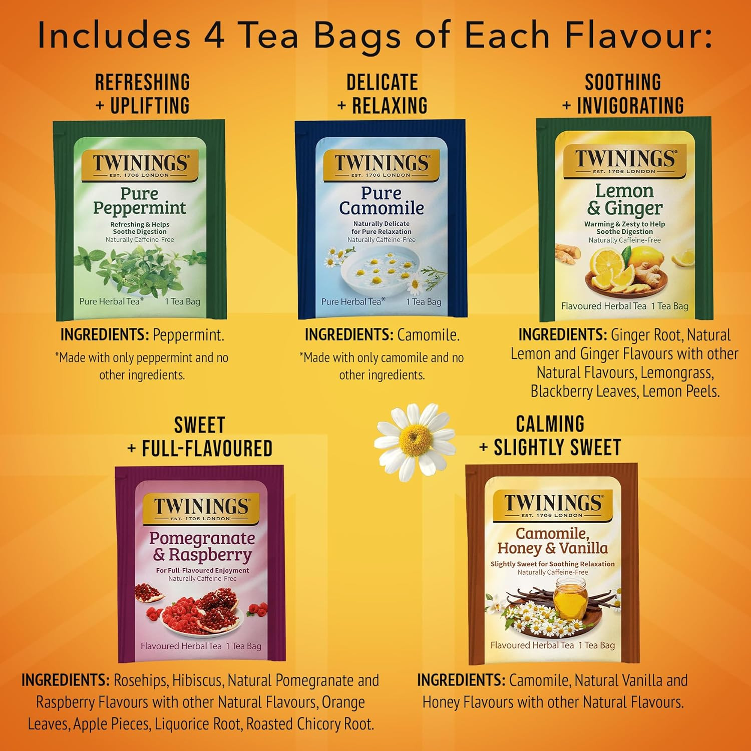 Herbal Tea Variety Pack, 20 Count (Pack of 1), Formerly Assorted Herbal, Include
