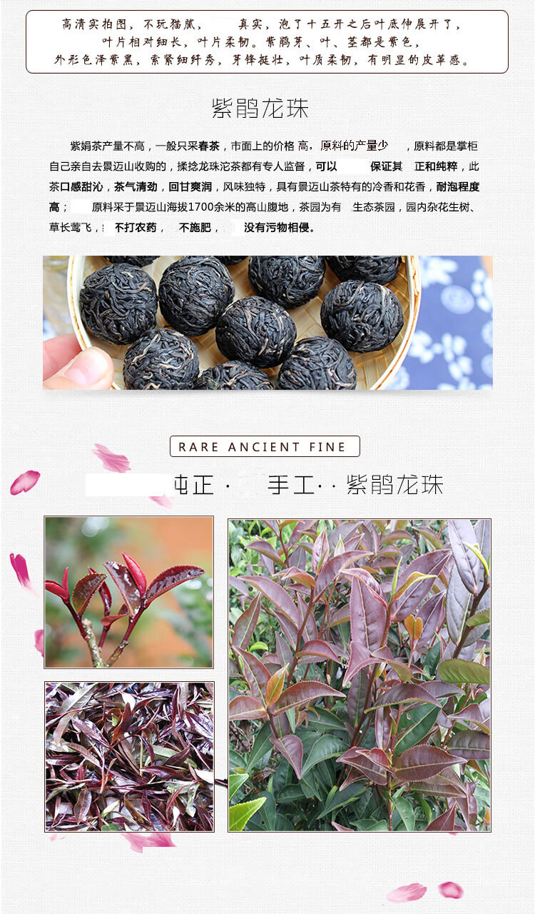 Jing Mai Zi Juan Long Zhu Pu-erh Tea Tuo 250g Raw Puer Tea Pu’er Purple Leaf