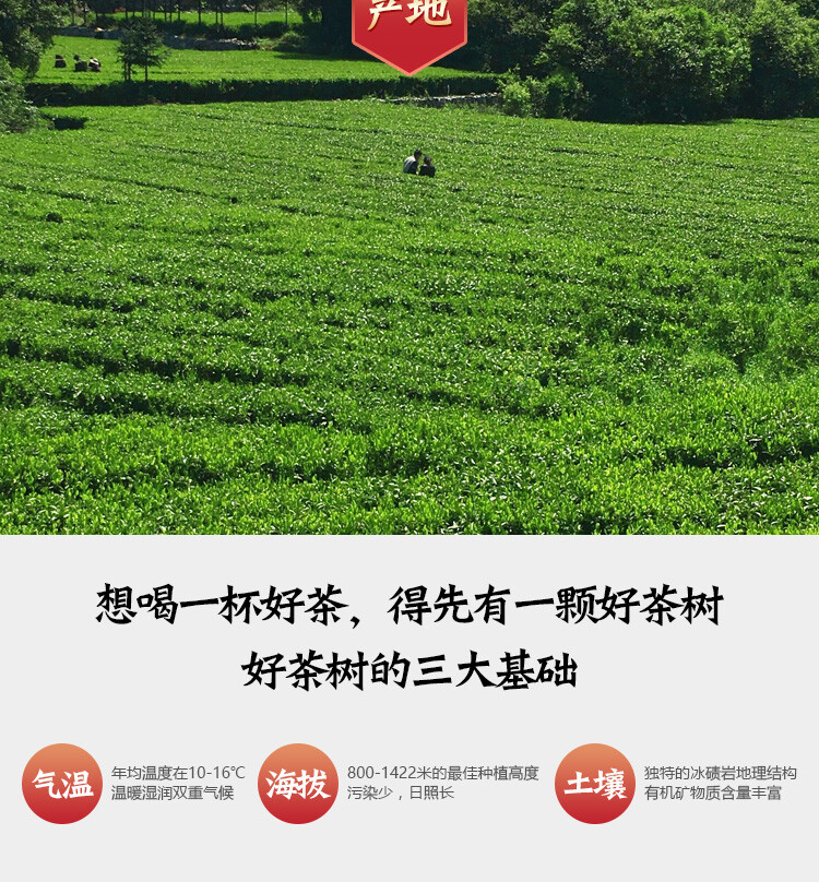 Anhua Dark Tea Hua Juan Hei Cha Herbal Energy Tea 362.5g
