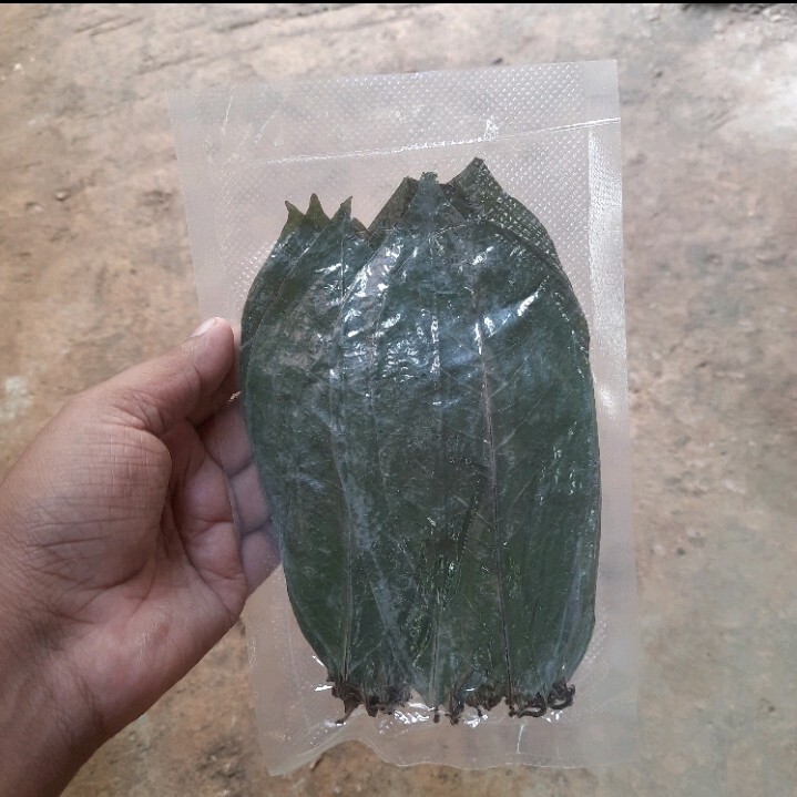 400+ Dried Soursop Leaves Annona HOJAS DE GUANABANA GRAVIOLA Quality Herbal Tea