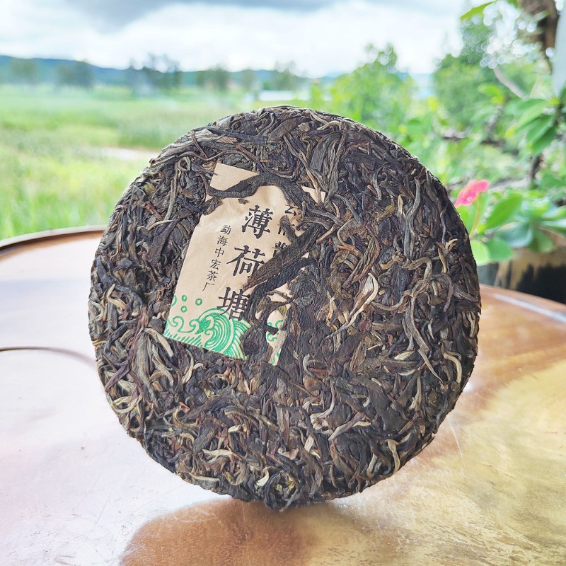 200g Spring Tea Yi Wu Mint Pond Ancient Tree Tea 2021 Raw Tea Pu’er Tea Cake
