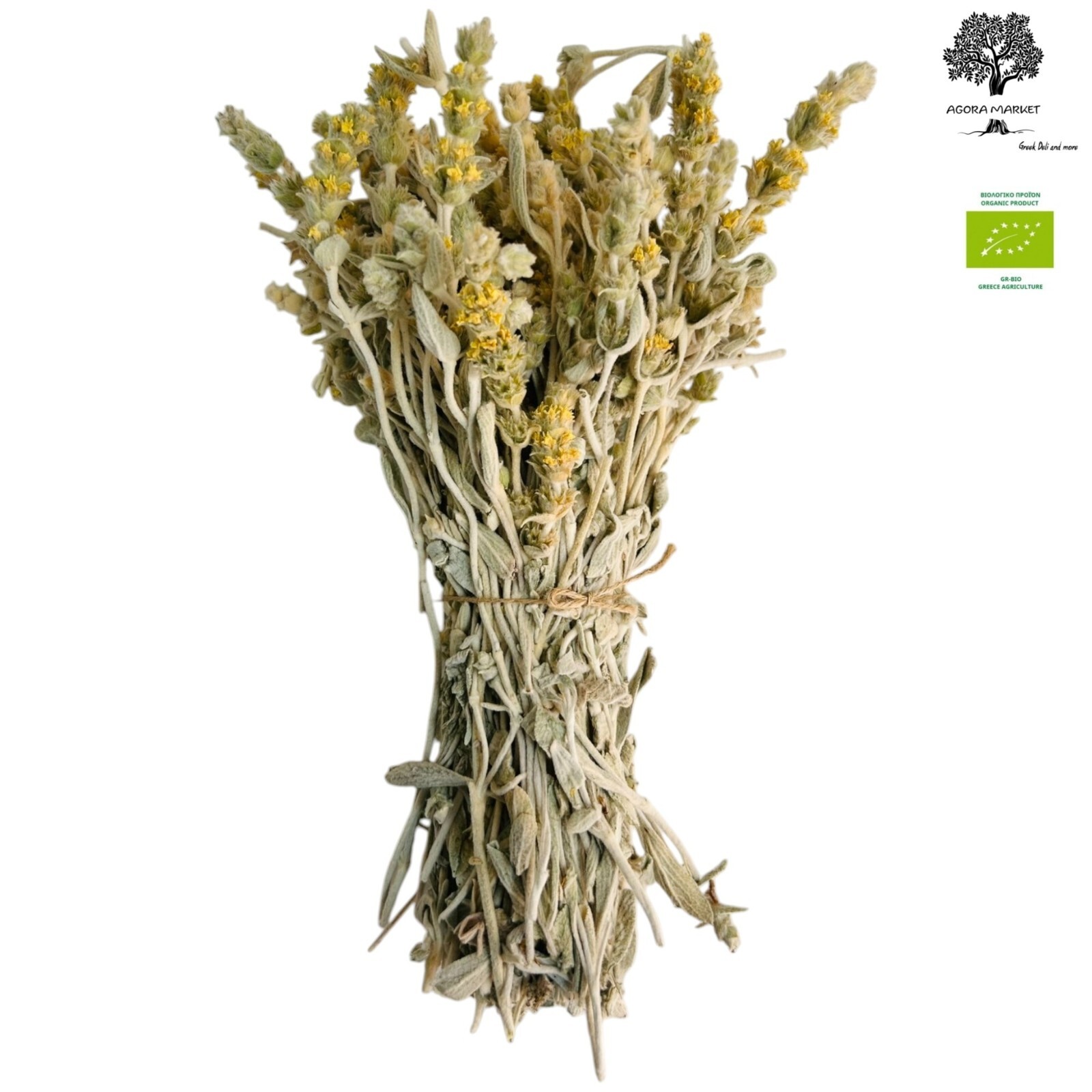 Certified Organic Greek Mountain Tea Malotira – Class A – Sideritis syriaca