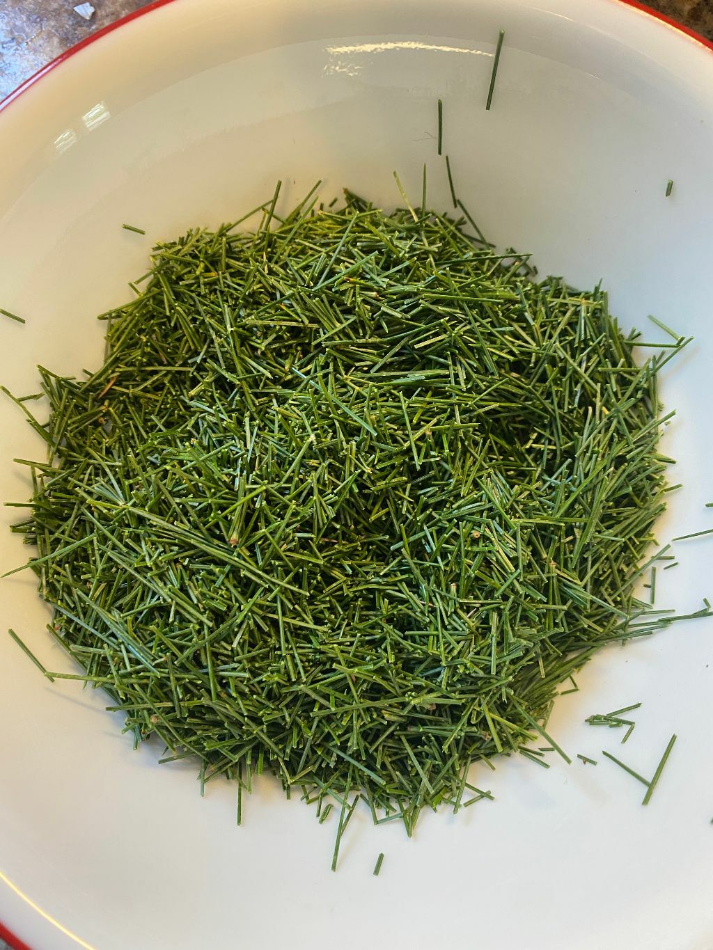 Eastern White Pine Tree Tea DIY Kit Organic Wild Suramin Immunity Boosting