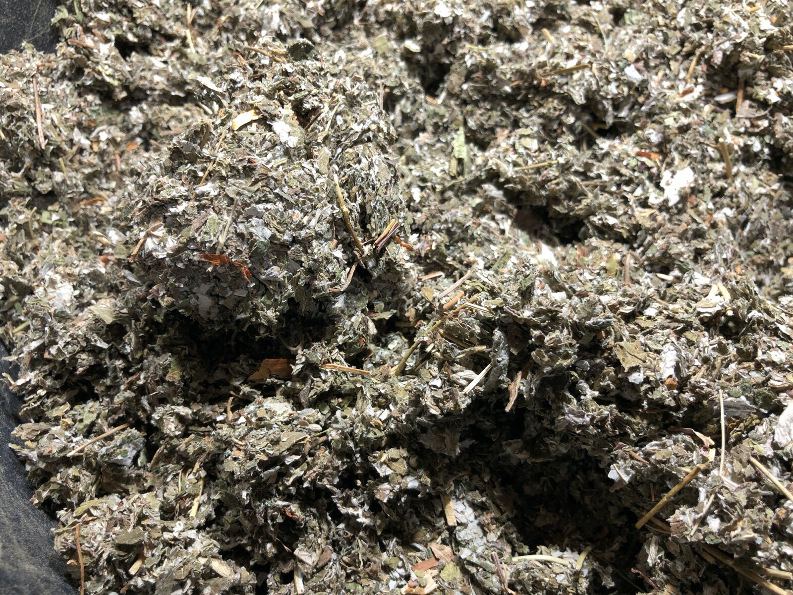 Organic Red Raspberry Leaf Wild Crafted Cut Bulk Herb Rubus Idaeus ounce pound