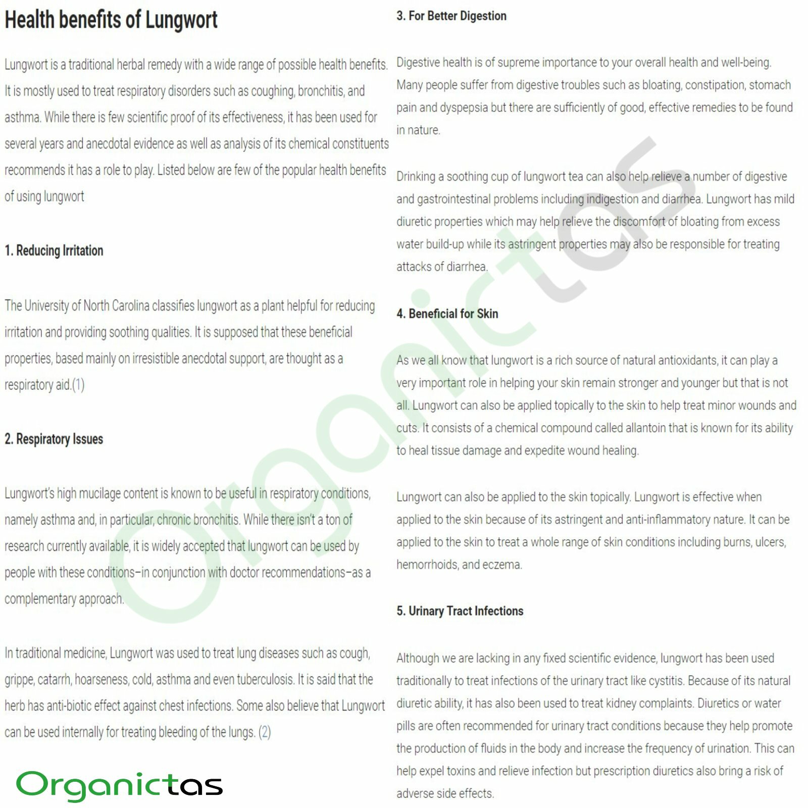 Lungwort Herb Tea Loose, for Lungs & Respiratory Tract Organic Pulmonaria offic.