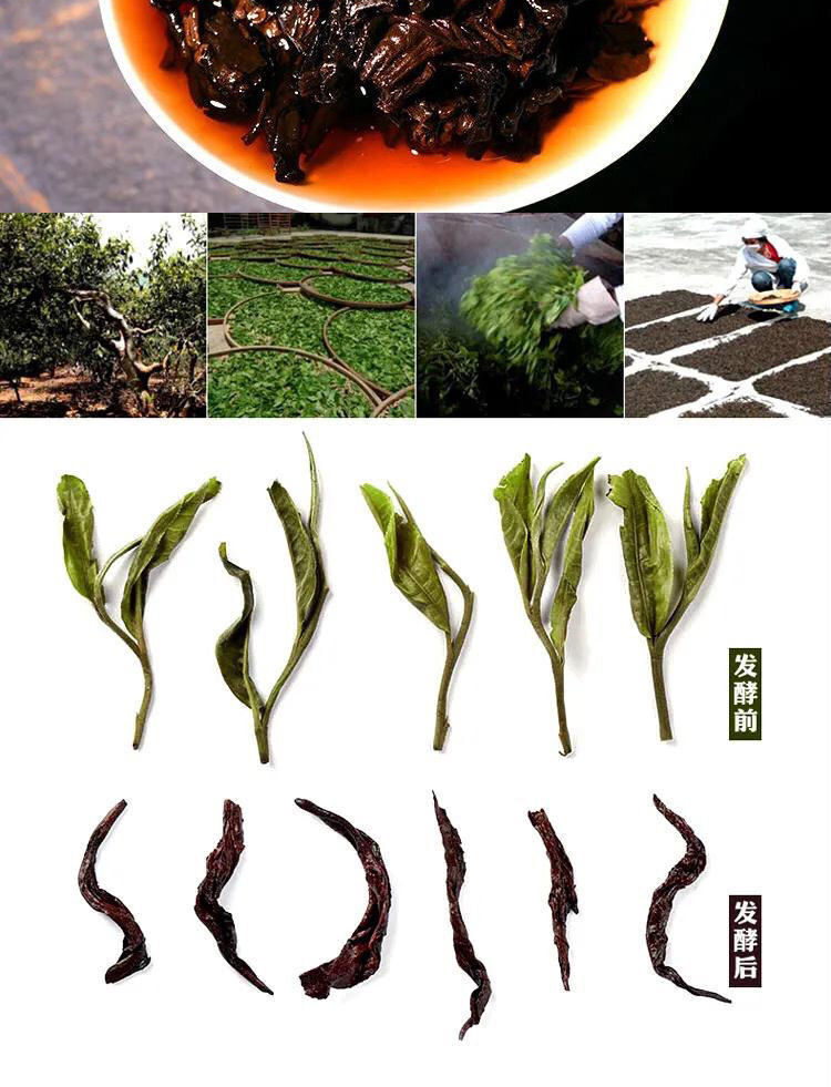 Pu’er Tea Yunnan Aged Premium 357g Cake Natural