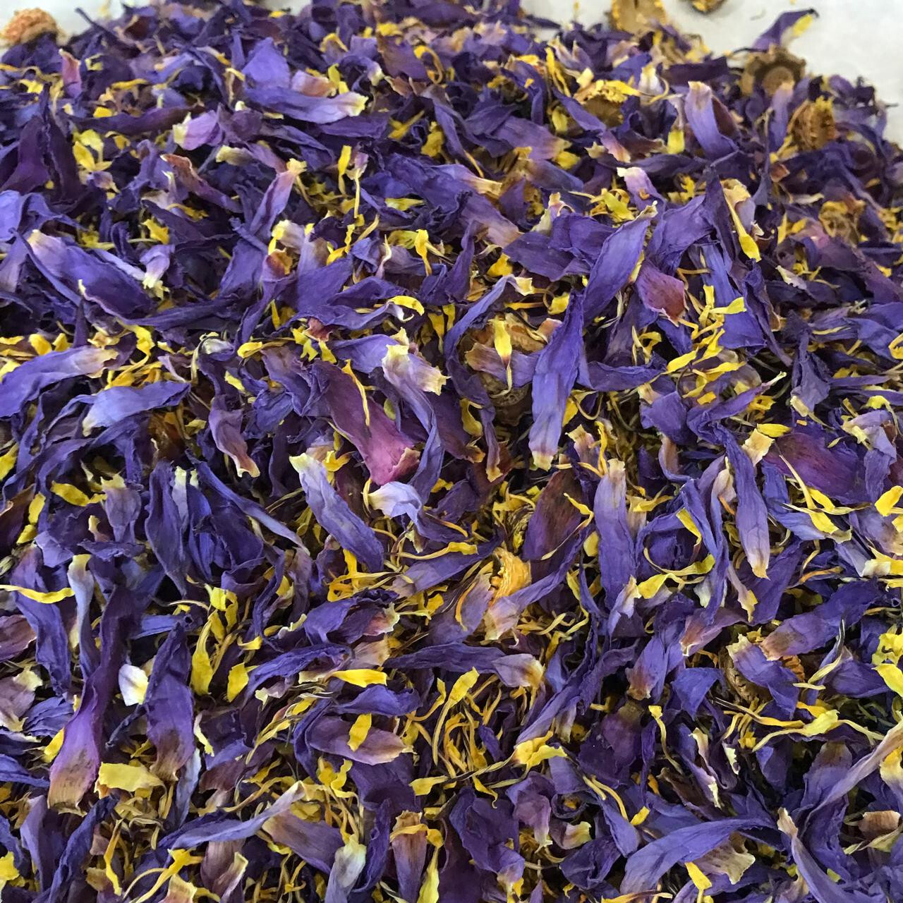 Ceylon Egyptian Cut Blue Lotus Nymphaea Caerulea Hand Picked Herbal Organic Tea