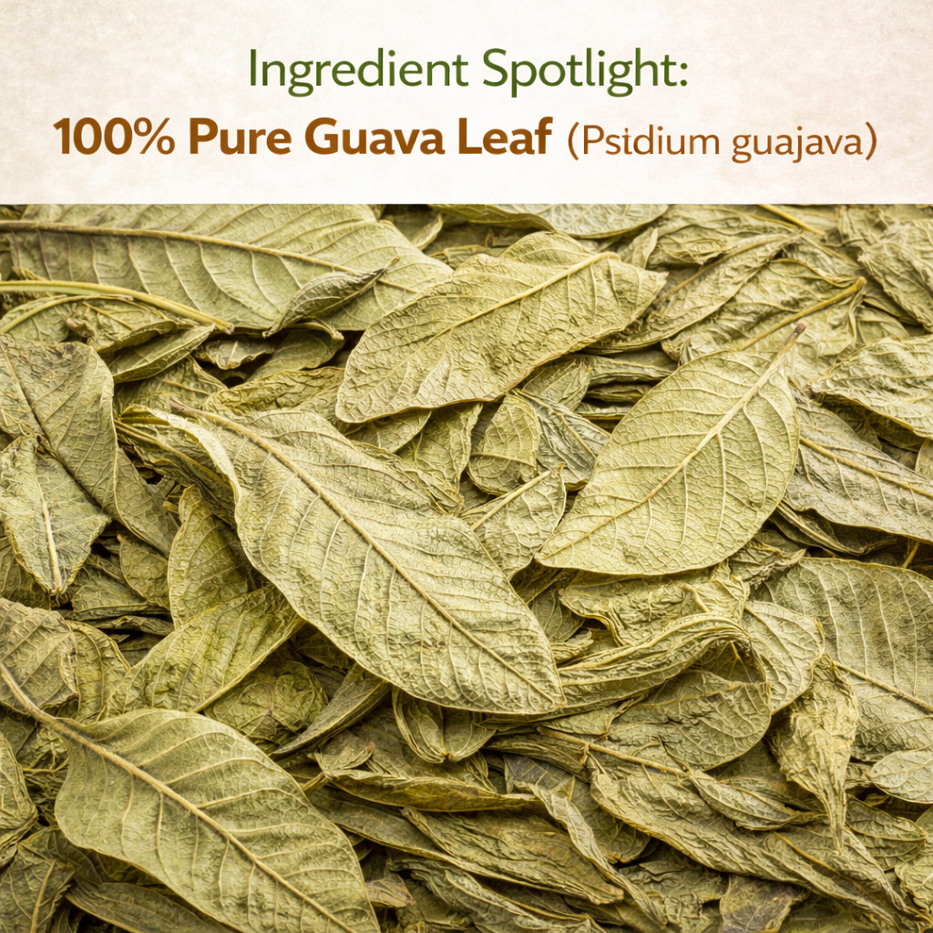 Hojas de Guayaba Té (Whole Dried Guava Leaf Tea) – 4oz (113g) | Crafted by Natur