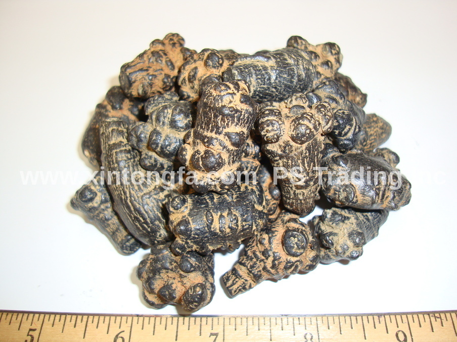 4oz to 1lb – 田七 三七 / Dried Tian Qi, Notoginseng, Pseudoginseng – Free Shipping!