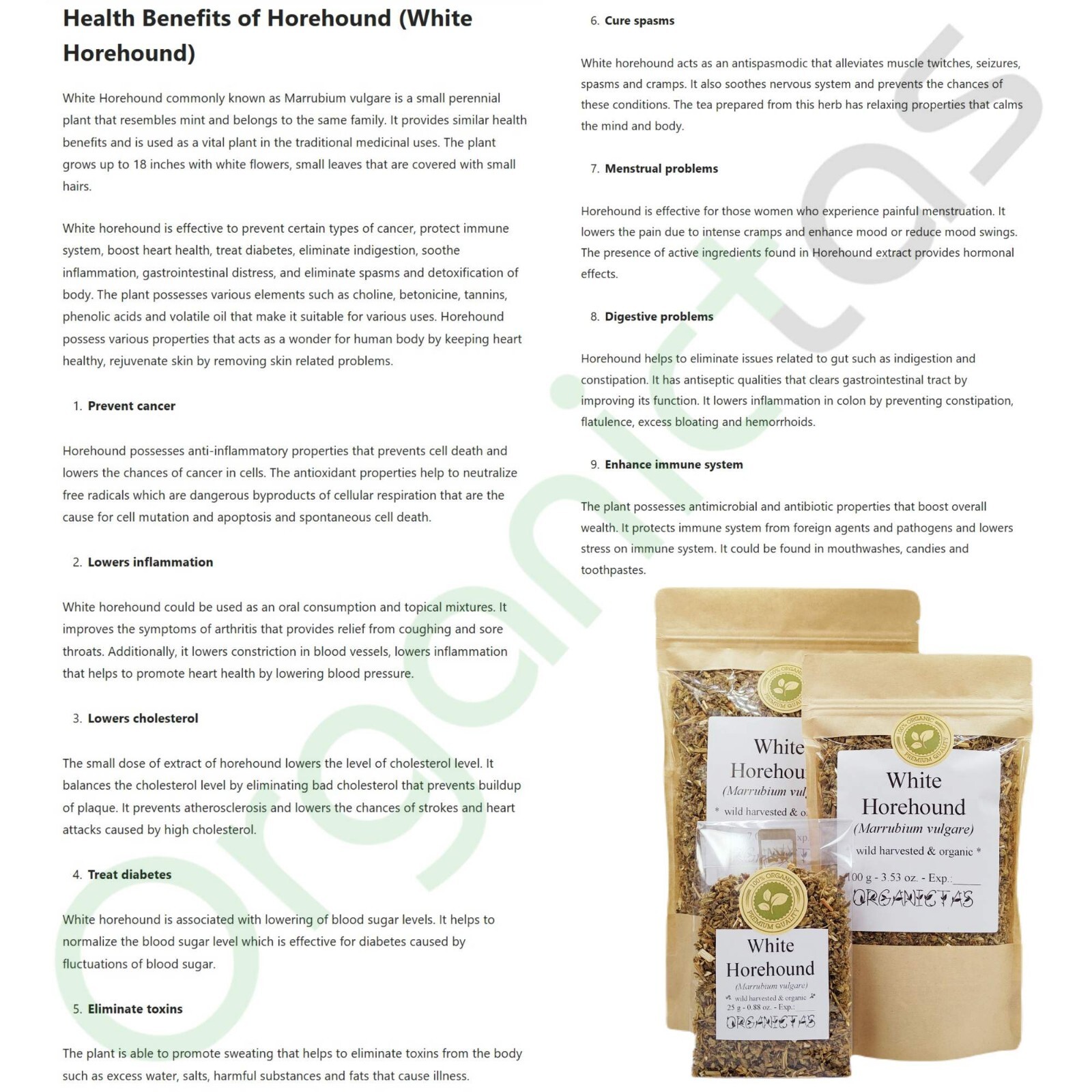 White Horehound Herb Tea – Dried, Cut & Loose Premium Organic Quality Marrubium